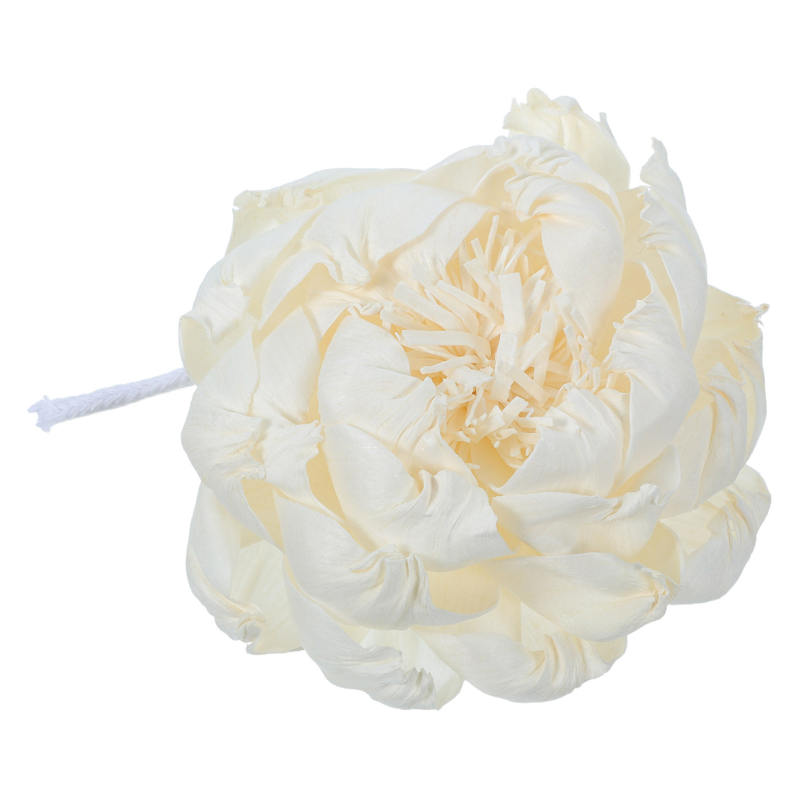 موزع عطر برائحة زهرة الفاونيا  - مراجعة Home Fragrance وسعره