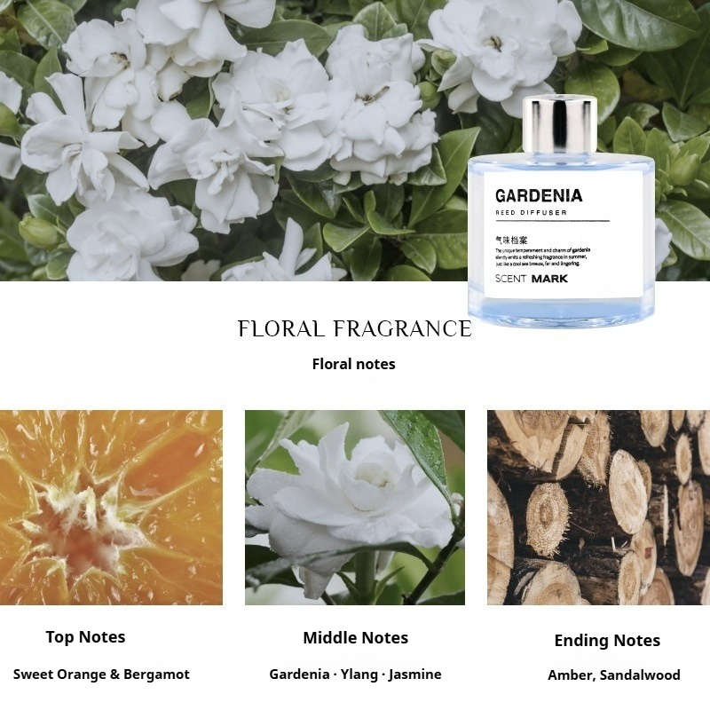 50 مللي مجموعات الناشر القصب ا - مراجعة Home Fragrance Jasmine Diffuser وسعره