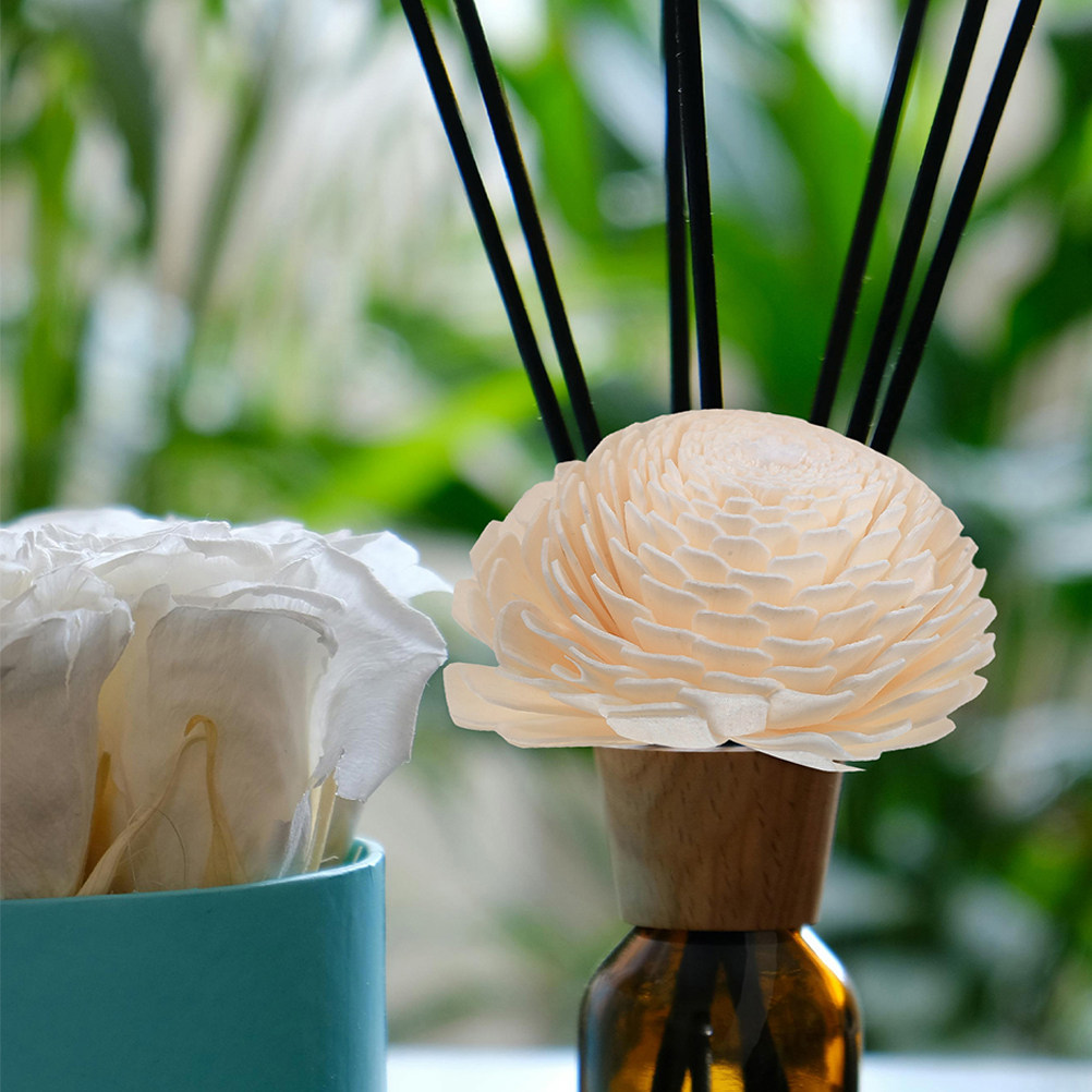 قطعتان من رؤوس زهور ناشر الزيت - مراجعة Home Fragrance وسعره